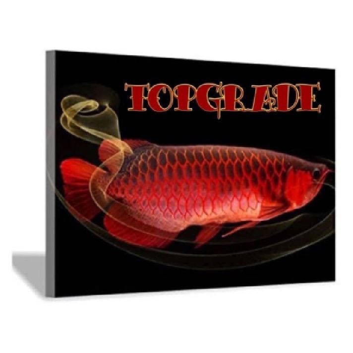 トップグレード